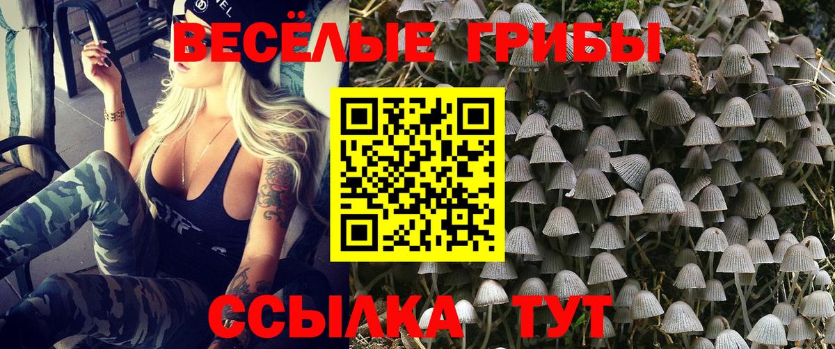 Галлюциногенные грибы Magic Shrooms Удомля