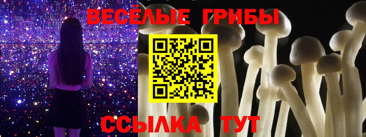 Галлюциногенные грибы Psilocybine cubensis  Вход с VPN  Удомля 